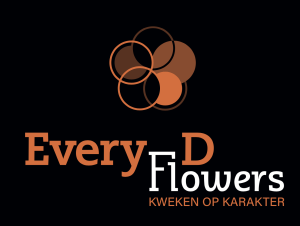 Everydflowers